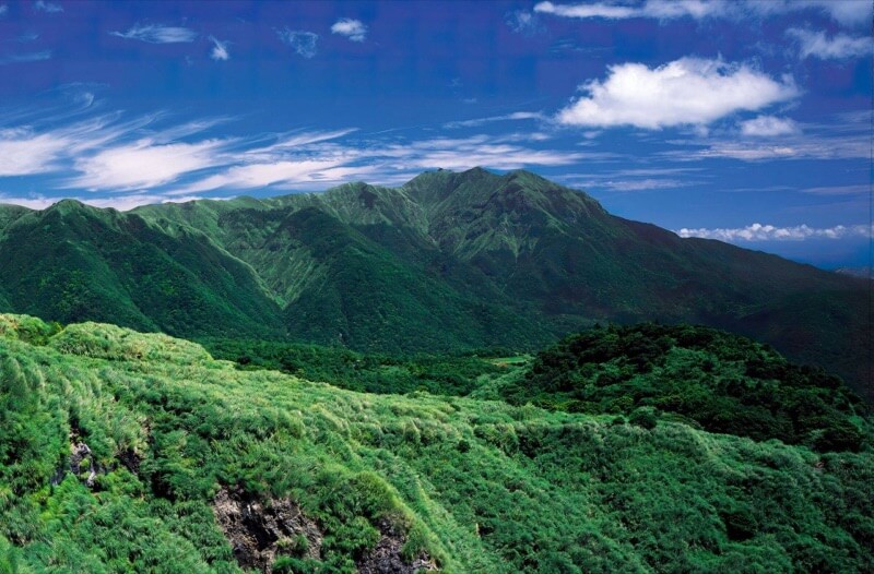 陽明山馬拉松